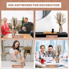 Homey Breeze Natural Dried Pampas Grass Decor with Vase – 15 Inches 23 Pcs 10…