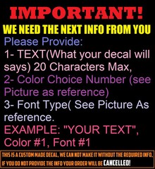 CUSTOM TEXT NAME Personalized Vinyl Lettering Decal Sticker , Car, Door, Window