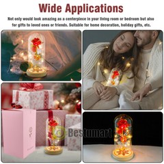 Rose Flowers Christmas Gift for Women,Glass Dome Rose Gifts for Mom Wife Grandma