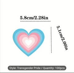 10 PCS Trans Queer Pride Stickers BRAND NEW