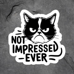 Cat Sticker Vinyl Decal Not Impressed Ever Grumpy Kitty Funny Sarcasm Meme