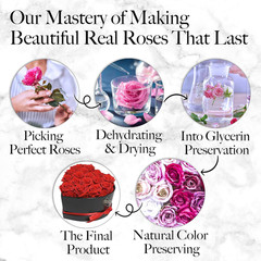 16 Flower Forever Heart Shape Box, Eternal Preserved Roses Gift for Her, Lasting