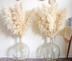10Pcs 40» Pampas Grass Tall Decor – Pompas Floral, Tall Pampas Grass for Floor