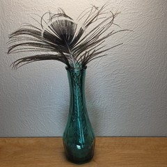 Bohemian Home Decor Evergreen Indiana Glass Vase Real Peacock Feather Boho Chic