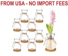 Bulb Glass Vases for Flowers Forcing Hyacinth Clear Decorative Bulb Vase with Ro