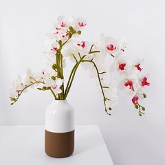 9 Heads Artificial Phalaenopsis Flowers 4 Pcs Artificial Orchid Flowers 42 in…
