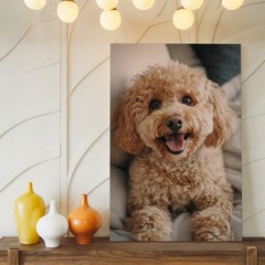 Cute Fluffy Small Dog Canvas Wall Art Happy Puppy Portrait Home Decor Print