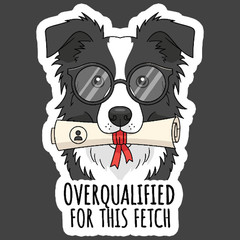 Border Collie Sticker Vinyl Decal Overqualified For This Fetch Funny Gift