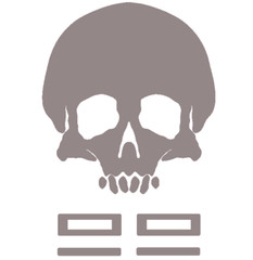 CLONE FORCE 99, BAD BATCH, STAR WARS, Decal Stickers for Cars, Windows, Laptops.