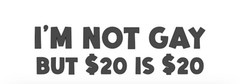 I’m Not Gay Funny Vinyl Decal Prank Sticker Bumper Car Window Truck Sticker