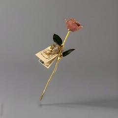 24k Gold Dipped Pink Picasso Lacquer Real Rose Valentine’s Mother’s Day Gift