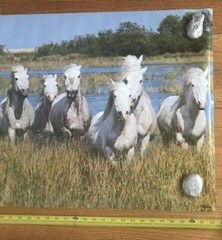 1979 Verkerke White Horses In The Camargue Large Original Poster 62.5″X 21″ #2