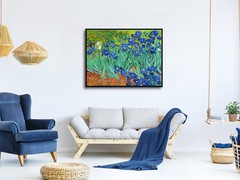 Irises by Van Gogh Fine Art Painting Reproduction Canvas Print Picture Framed