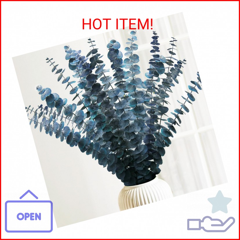 Preserved-Dried-Eucalyptus-Stems,16-17″ Natural Blue-Green Eucalyptu Plant Live
