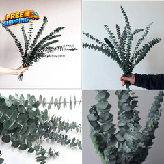 Eucalyptus for Shower 10 Pcs Hanging Dried Eucalyptu Stems 17 Real