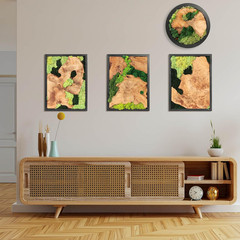 Rustic Natural Moss Wall Art – Handcrafted Decor for Any Room, No Maintenance