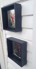 Coral Print, Mirror Effect Black Framed Shadow Boxes, Set of 2, Coastal Classy