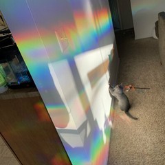 Diffraction Grating Film – Window Suncatcher and Rainbow Maker -18″ x 24″