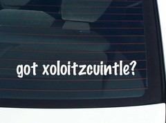 got xoloitzcuintle? CAR DECAL BUMPER STICKER VINYL FUNNY JOKE WINDOW