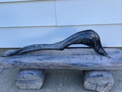 decorative driftwood Grey