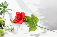Ceramic Red Rose Flower with Stem – Set of 2, Romantic Decor, Wedding Decor, Val