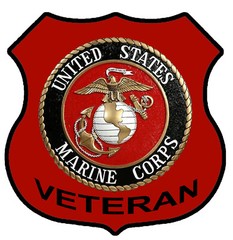 Veteran Shield 2″ x 2″ Pins