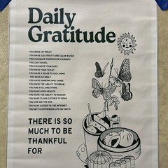 Daily Gratitude ✅ Quote Positive Inspirational Poster Canvas Wall Art ✅ 12×18 in