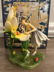 Faerie Glen Fairy Dream Big And Just Believe with box fantasy whimsical