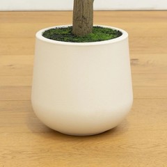 7′ Artificial Olive Tree in White Decorative Planter