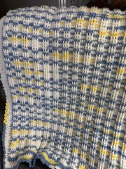 Handmade Crocheted Toddler Or Lap Blanket