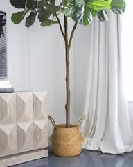 6FT Artificial Fiddle Leaf Fig Tree with White Planter & Fake Moss, Realistic…