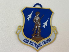 Air National Guard Emblem – 10 x 9 inches – Ready to Hang