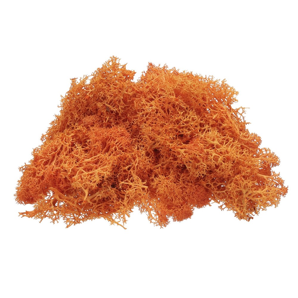 Preserved Reindeer Moss 4 OZ Fake Moss for Crafts (Orange)