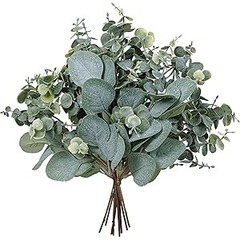 10 Pcs Mixed Eucalyptus Leaves Stems Bulk Artificial Sier Dollar Pis