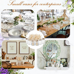 12 Pcs Plastic Bud Vases in Bulk for Table Centerpieces, 4.7In Hyacinth Avocado
