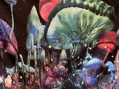 Trippy Mushroom Galaxy Tapestry Wall Art Boho Decor Fast Shipping Gift Idea