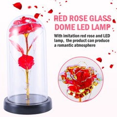 Rose Flower In Glass Gift For Women Wife Her Valentine Girlfriend Birthday Gifts