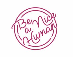 Be A Nice Human Die Cut Window Sticker Decal – Multiple Colors