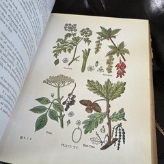 Antique 1923 Decorative Book Gothic Primitive Aged Worn Vintage Shelf Decor