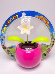 Solar Dancing Toys Flip Flap Flowers Bugs Animals Bobble Toy Solar Dancer