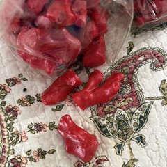 NWT 2 Bags 24 Each Pottery Barn Red Resin Coral Vase Filler Decorative Beach Sea