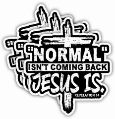 4Pcs, 3.5″x2.5″ Normal Isnt Coming Back Jesus is Sticker, Waterproof Vinyl Decal