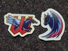 Wichita Wind Surge Stickers X2 3 Inch