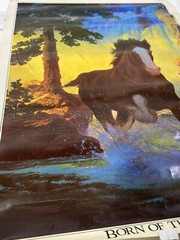 VTG 1982 Budweiser Bud Light Beer Poster 20×29 Wild Horse BORN OF THE BEST