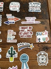 Stickers Pack of 49 Funny Sarcasm Stickers Durable Unique Laptop Bottle Thermos