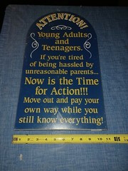 Vintage ATTENTION YOUNG ADULTS AND TEENAGERS Humorous wooden sign NISP! 19X11