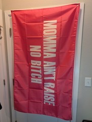 Momma Ain’t Raise No Bitch Pink Banner Flag Tapestry 3′ X 5′ #170
