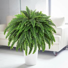 2X Fake Ferns Faux Boston Ferns 24″ Artificial Plants 60 Leaves for Each Bouquet