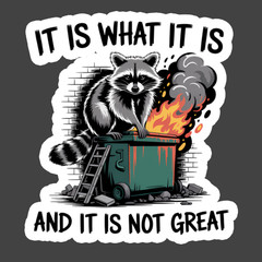 Raccoon Sticker Vinyl Decal It Is What It Is Funny Dumpster Fire Meme