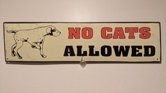 No Cats Allowed Metal Sign 19×5 Rustic Beige w/ Beagle Dog Image Distressed Look